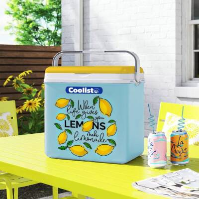 Coolist CLB24LM 24 Litre Limon Desenli Buzluk + 2 Adet 400gr. Buz Kaseti - 4